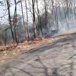 Nyaris Membakar TPA, Lahan Seluas Satu Hektare Terbakar Hebat (Foto : Darfan)