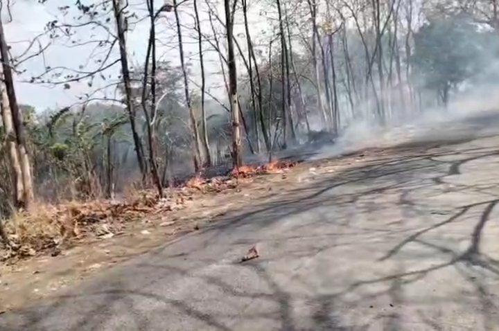 Nyaris Membakar TPA, Lahan Seluas Satu Hektare Terbakar Hebat (Foto : Darfan)