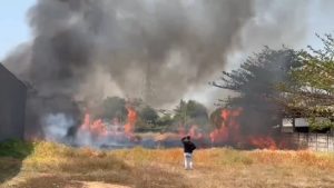 Kebakaran hebat terjadi di area lahan kosong di Kecamatan Talun, Kabupaten Cirebon (Foto : Darfan)