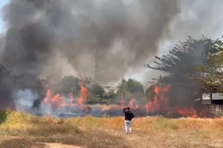 Kebakaran hebat terjadi di area lahan kosong di Kecamatan Talun, Kabupaten Cirebon (Foto : Darfan)