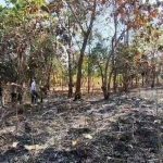 Seorang lansia ditemukan hangus terbakar di lahannya di Kabupaten Cirebon (Foto : Darfan)