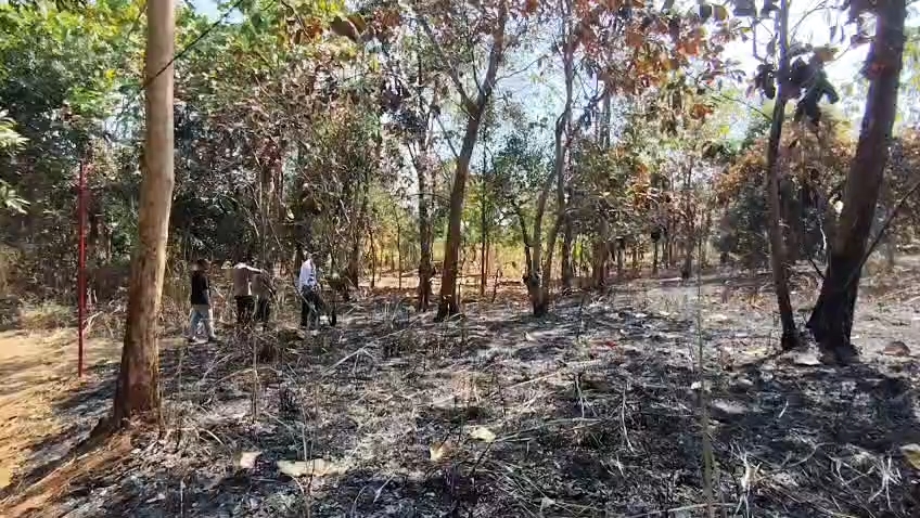 Seorang lansia ditemukan hangus terbakar di lahannya di Kabupaten Cirebon (Foto : Darfan)