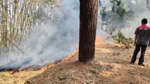 Kebakaran Lahan Area Rumah Sakit Sidawangi Bikin Panik Petugas dan Pasien (Foto : Darfan)