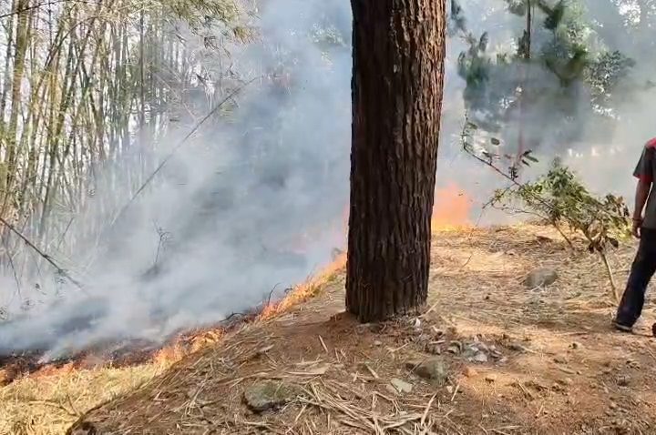 Kebakaran Lahan Area Rumah Sakit Sidawangi Bikin Panik Petugas dan Pasien (Foto : Darfan)