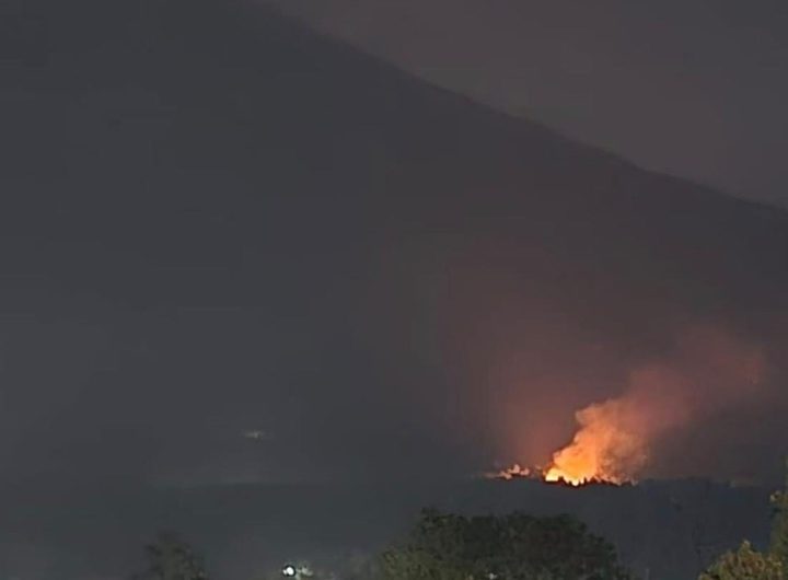 KEBAKARAN HUTAN TERJADI DI KAWASAN GUNUNG CIREMAI, PETUGAS DAN WARGA BERGERAK MELAKUKAN PEMADAMAN