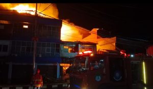 Kebakaran Hutan di Ketapang Kalimantan Barat Picu Kabut Asap, 886 Titik Panas Terdeteksi