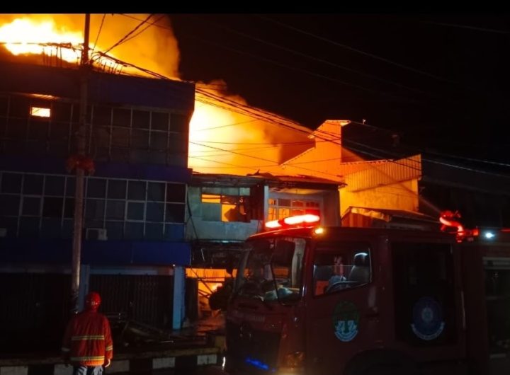 Kebakaran Hutan di Ketapang Kalimantan Barat Picu Kabut Asap, 886 Titik Panas Terdeteksi