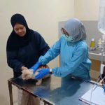 Memperingati Hari Rabies Sedunia, Dinas Ketahanan Pangan, Perikanan, dan Pertanian Kota Cirebon, Jawa Barat, menggelar vaksinasi rabies gratis (Foto : Darfan)