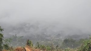 Kebakaran TPAS Meluas, Damkar Terus Berjibaku (Foto : Darfan)