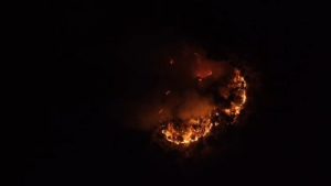 Gunung Ciremai Kembali Terbakar, Lokasi Sulit Dijangkau Jadi Kendala Pemadaman