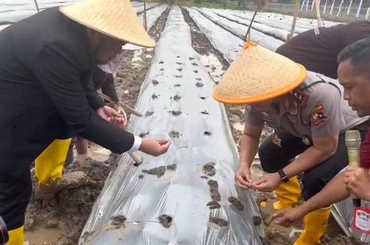 Kabaharkam Polri dan PT Dewanta Global Nusantara Kembangkan Bawang Putih di Majalengka