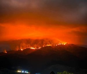 KEBAKARAN GUNUNG MENINGKAT, PEMPROV JAWA TENGAH MINTA JALUR PENDAKIAN DITUTUP SEMENTARA